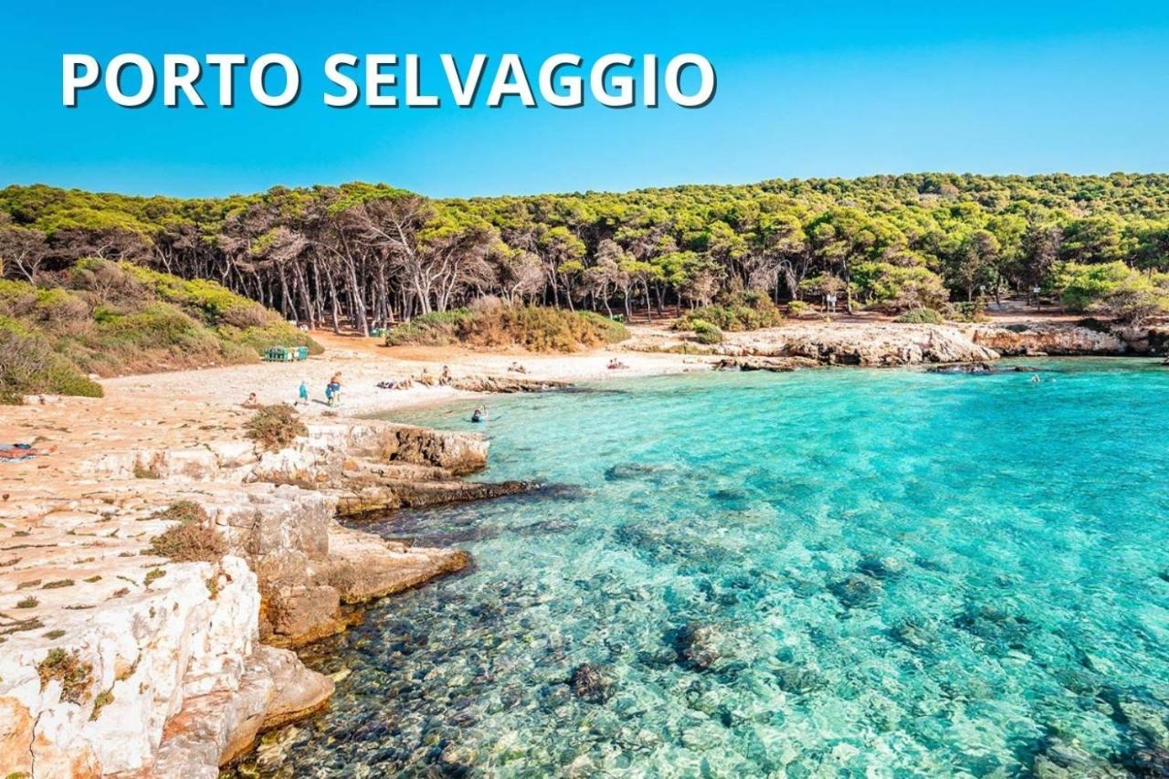 Delfino - Ampio Appartamento A 40 Metri Dalla Spiaggia Lido Conchiglia Екстер'єр фото